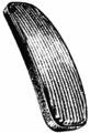 CUBRE PEDAL DE ACELERADOR MODELO 128 REY GOMA