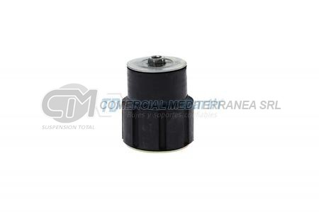 SOPORTE DE CABINA F-100 TRAS. 73/81 F-100 (EX 21009)