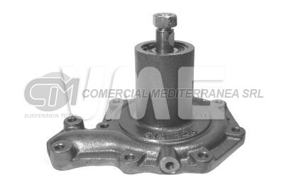 BOMBA DE AGUA HANOMAG R55 R60