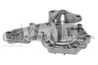 BOMBA DE AGUA RENAULT 19 / CLIO DIESEL FULL / KANGOO 1.9 D (6PK1555) REFORZADA 86 / 