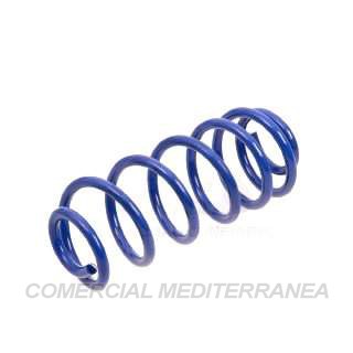 KIT RESORTES AG PEUGEOT 307 XS 2.0 2001/2006 TRASERO