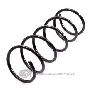 RESORTES RENAULT R/18 REF. TRASERO TODOS