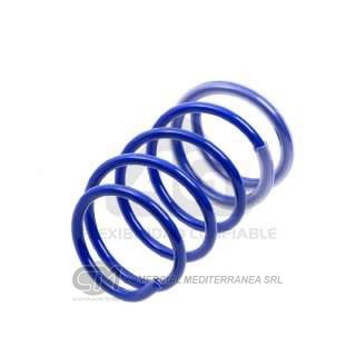 KIT RESORTES RENAULT CLIO 1.2 DELANTERO