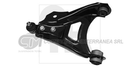 PARRILLA RENAULT CLIO INFERIOR DERECHO S/ROTULA