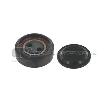 TENSOR ACCESORIO VW PASSAT / AUDI A4/A6/ALLROAD 2.5 TDI POLEA EXCENTRICA AA 63X8X17