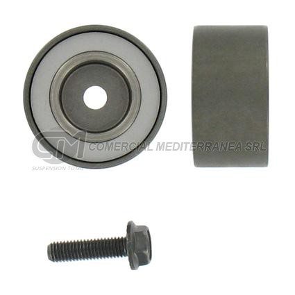 TENSORES ACCESORIOS RENAULT CLIO II 2.0 16V/MEGANE/KANGOO/SCENIC/LAGUNA 1.9 D-DC