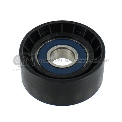 TENSORES ACCESORIOS RENAULT CLIO II/KANGOO 1.4/1.6 - LAGUNA 1.8 16V - MEDIDAS 17