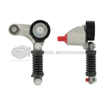 TENSORES ACCESORIOS RENAULT MEGANE/SCENIC/LAGUNA 1.9 DCI F8Q-F9Q TENSOR CON RESO