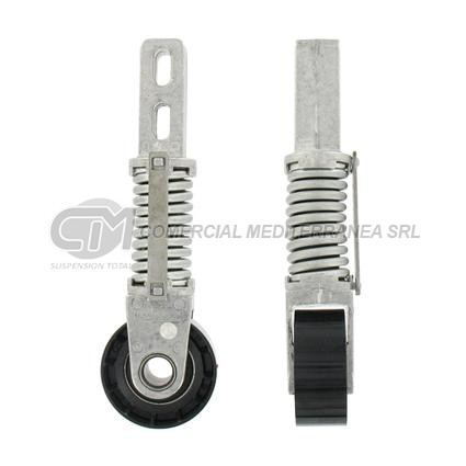 TENSORES ACCESORIOS RENAULT MEGANE/MEGANE II/SCENIC 1.9 DTI-DCI F9Q TENSOR CON R