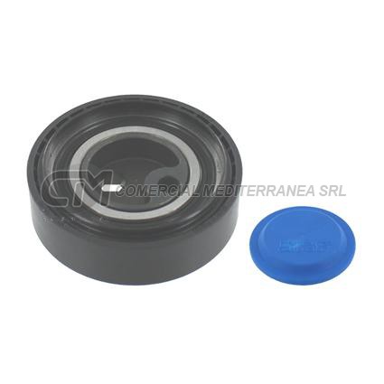 TENSORES ACCESORIOS BMW SERIE 3 1.6-1.8/5 2.5/M3/Z3 3.0 91-00 POLEA EXCENTRICA A