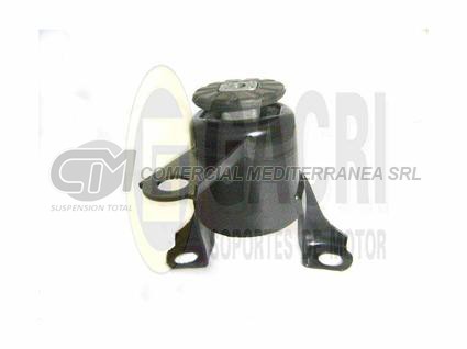 SOPORTE HIDRAULICO ADAPTABLE ECOSPOST FIESTA KINECTIC