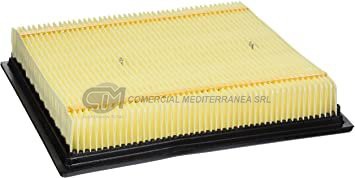 FILTRO AIRE F-150