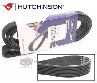 CORREAS POLY-V HUTCHINSON