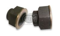 TUERCA PARA FIAT PALIO / SIENA. MEDIDA: