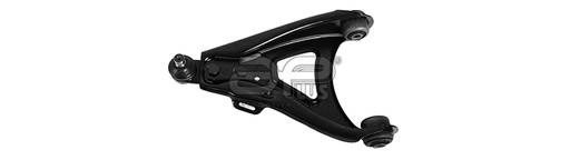 RENAULT 19/MEGANE/CLIO/KANGOO/SCENIC IZQUIERDA CON ROTULA PARRILLAS DE SUSPENSION AP